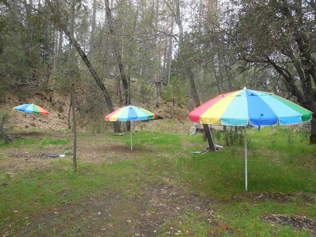 Yosemite Paradise Inn Coulterville Ngoại thất bức ảnh