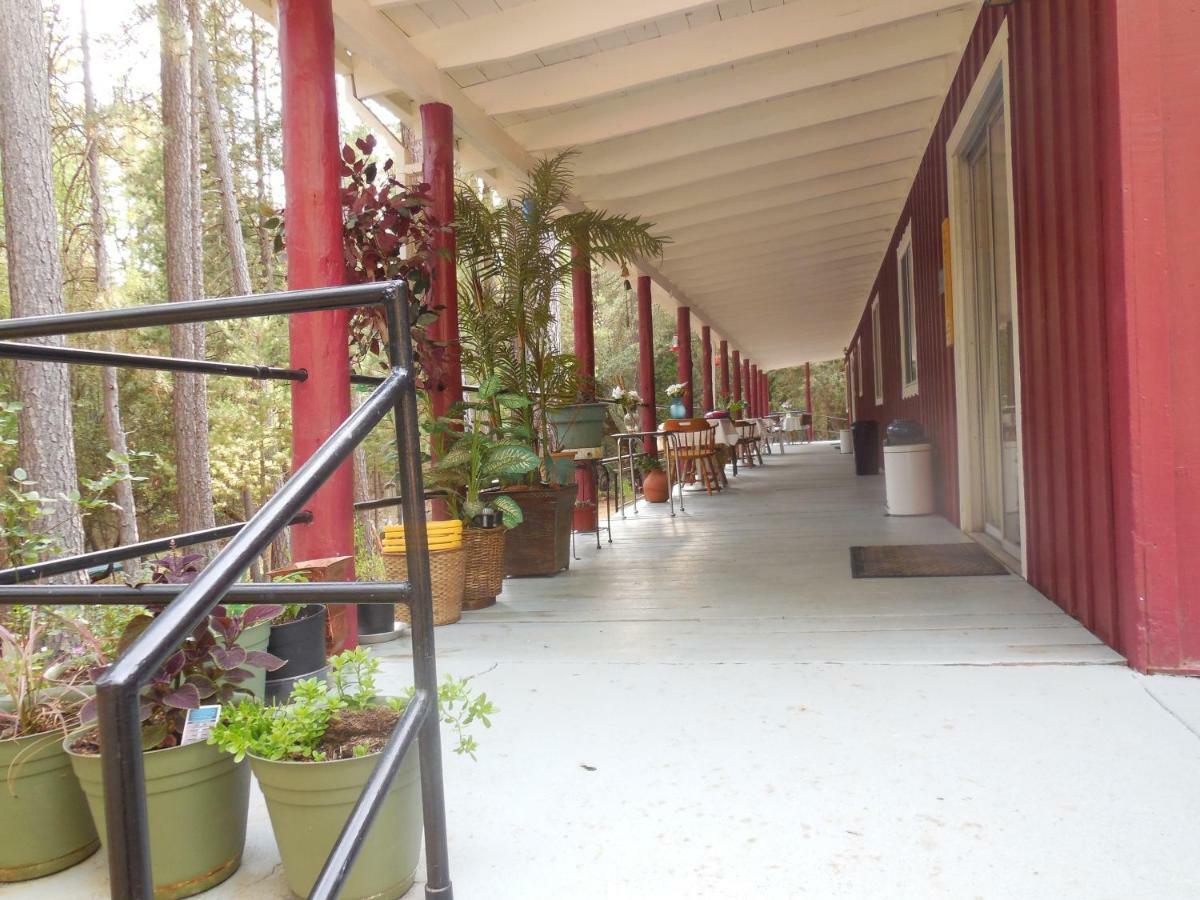 Yosemite Paradise Inn Coulterville Ngoại thất bức ảnh